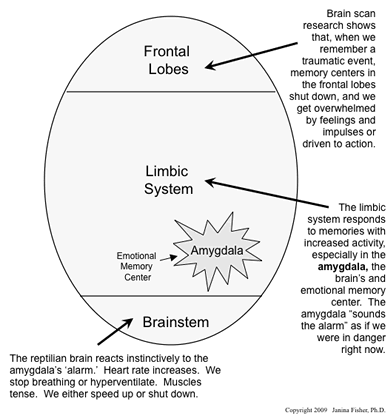 trauma therapy